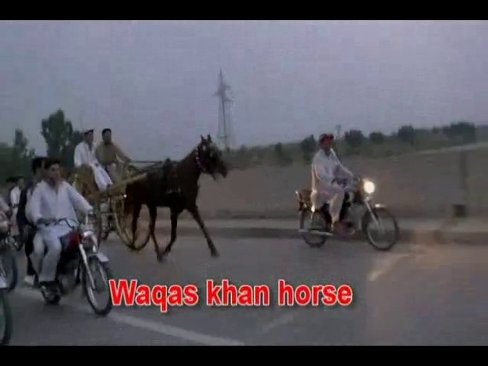 Waqas khan horse jumma try 27-9-13