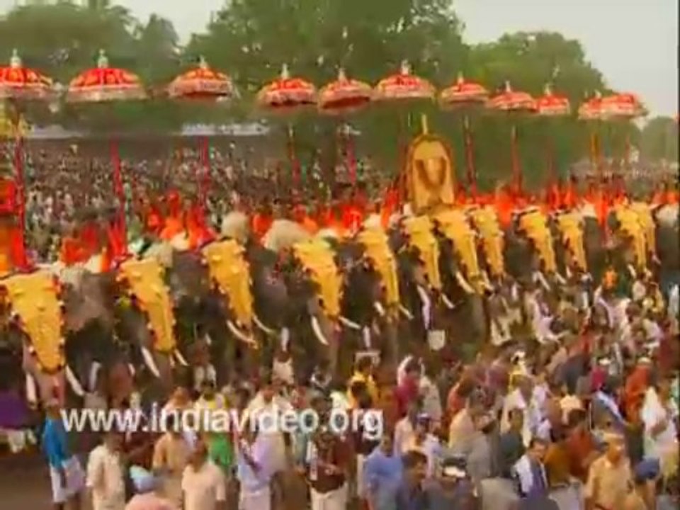 60 Elephants - Thrisur Pooram Kuda mattam Temple festival India