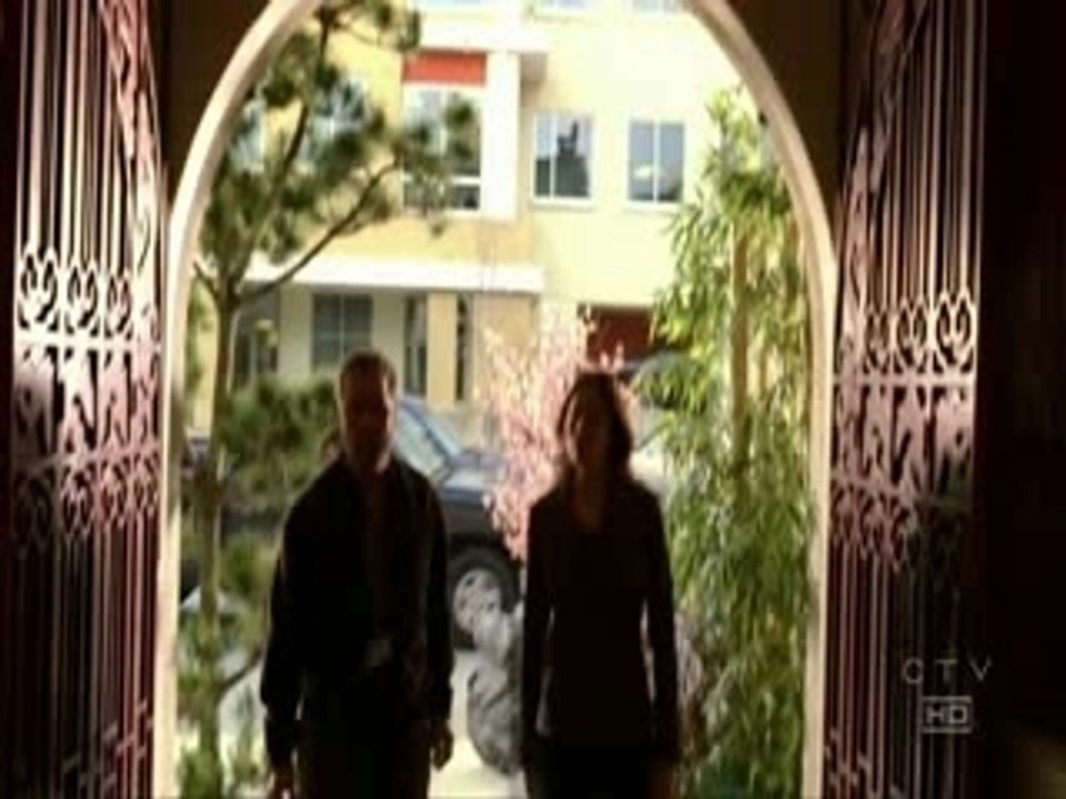 I Will Remember You By Sarah McLachlan