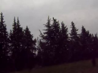 Le destin a des raisons que la raison ignore...