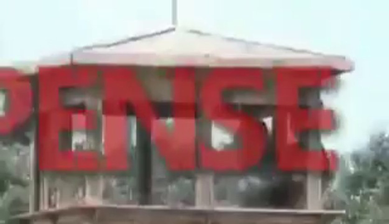 Movies Capital Trailer