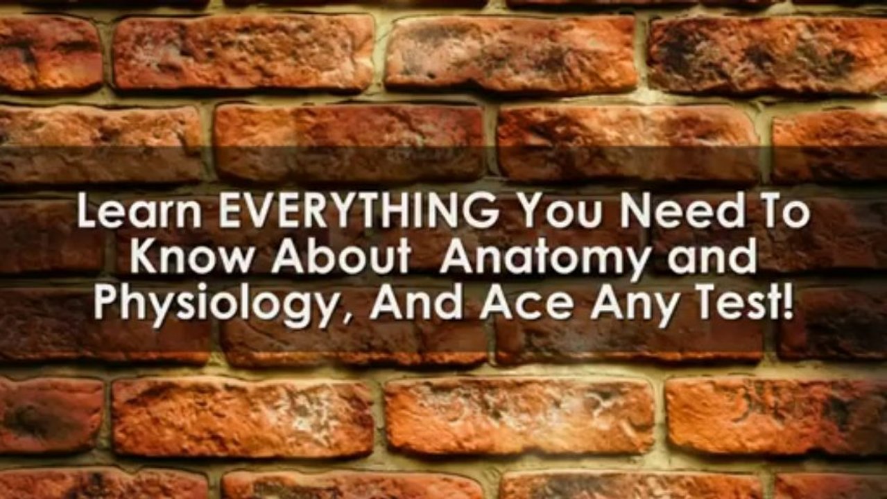 Essentials of Human Anatomy & Physiology