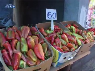 Sa e romange (Vesti na romskom jeziku), 28. septembar 2013.