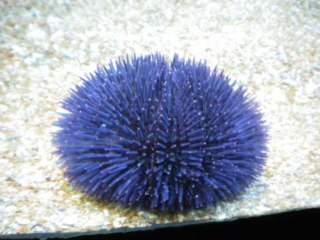 Photos Diverses croisière 2013