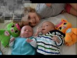 Famille Ref:x15arzl