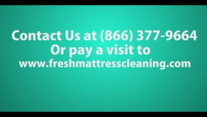 Fresh Mattress Cleaning in Locust Fork, AL