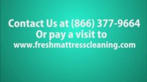 Mattress Cleaning Service in Palmerdale, AL