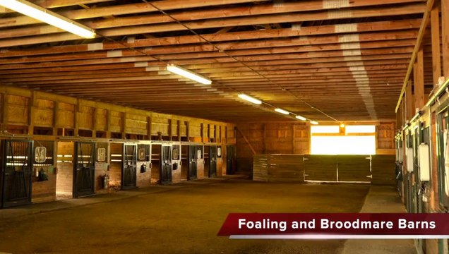 Ohio Horse Farm Real Estate, Equipment and Equine Auction