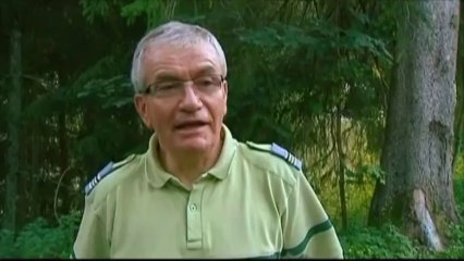 Des voleurs de champignons arrêtés dans le Vercors