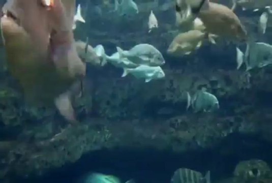 Crystal Palace Quartet...Donaldson...Makin' Whoopee