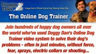 A Dog Training - The Online Dog Trainer