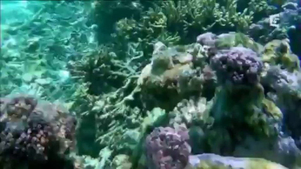 Sale temps pour la planète_BoraBora