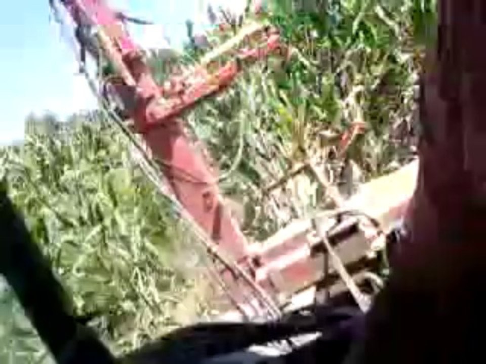 l95 çelmak