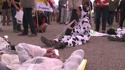 Somme: manifestation des opposants à la "ferme des 1000 vaches"