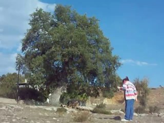 28.09.2013 - Uçurtma