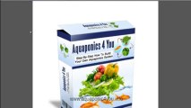 Aquaponics 4 You Review - How To Build An Aquaponic System