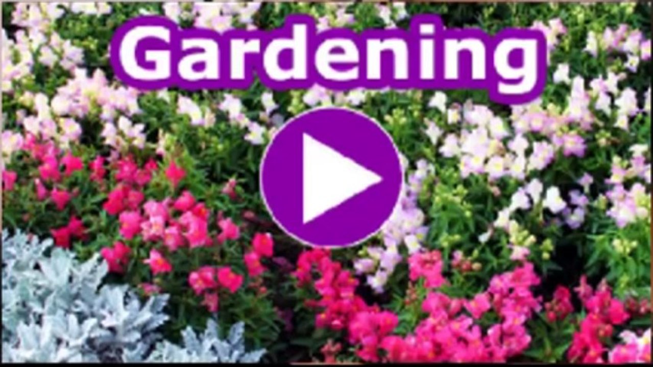 Top Fat Burning Diet Foods - Metabolic Cooking