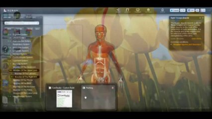 My Favorite way to learn about Human Anatomy