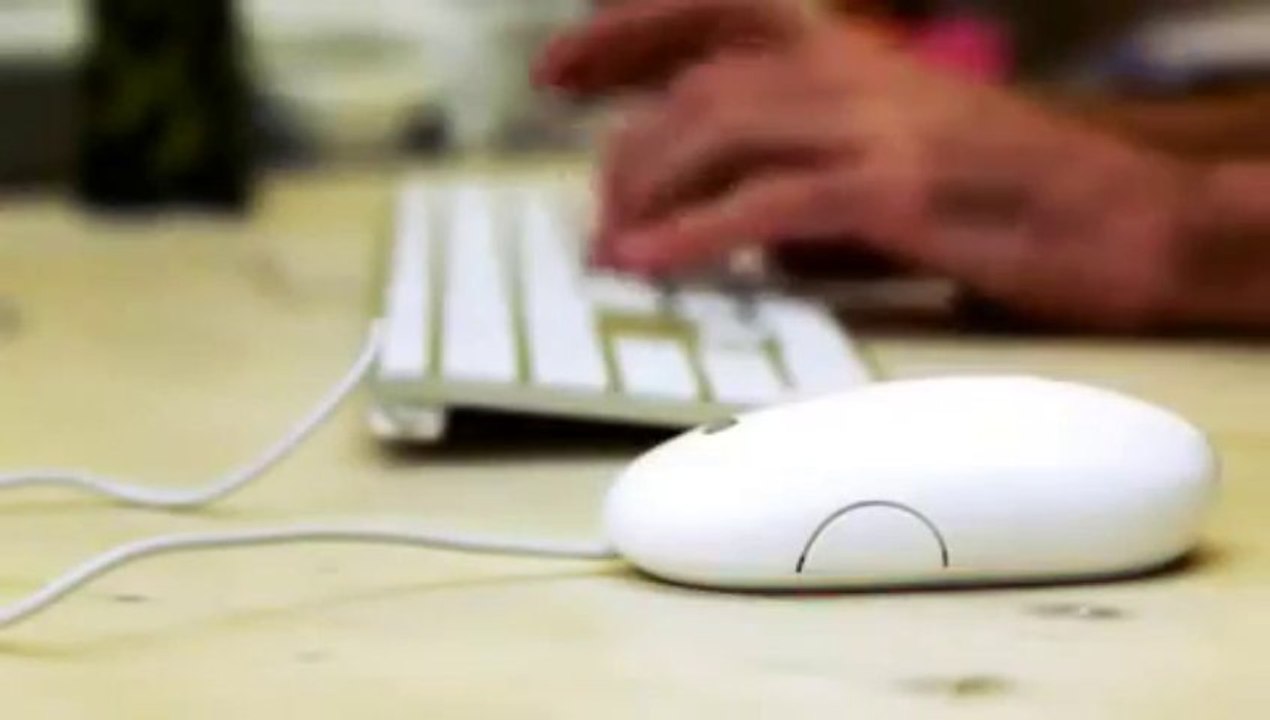 Background Check on eVerify.com