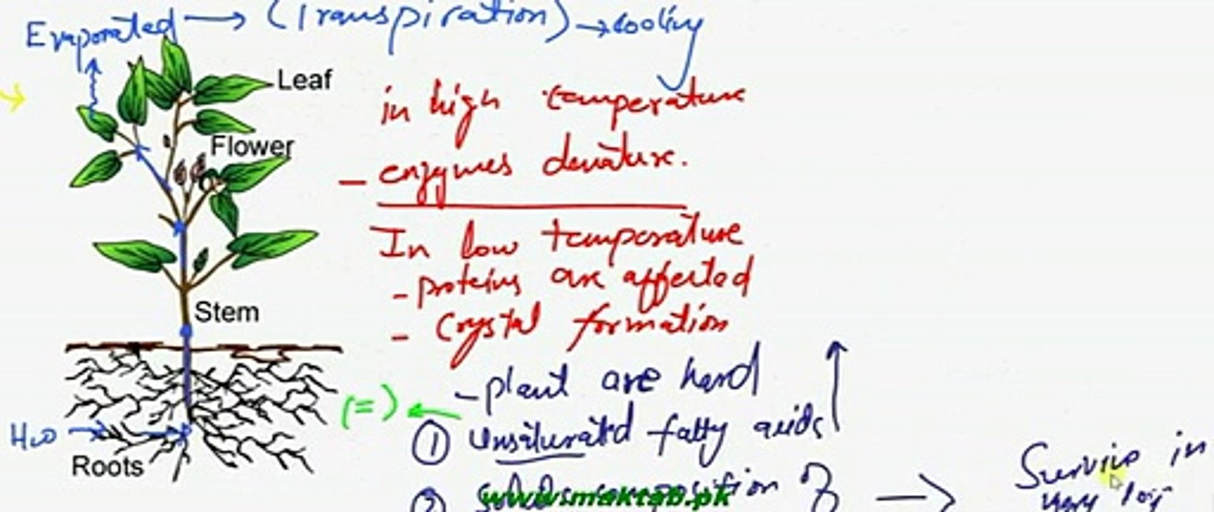 FSc Biology Book2, CH 15, LEC 15, Thermoregulation in Animals and Plants