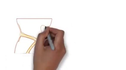 [Discount Price + Review] The Venus Factor System