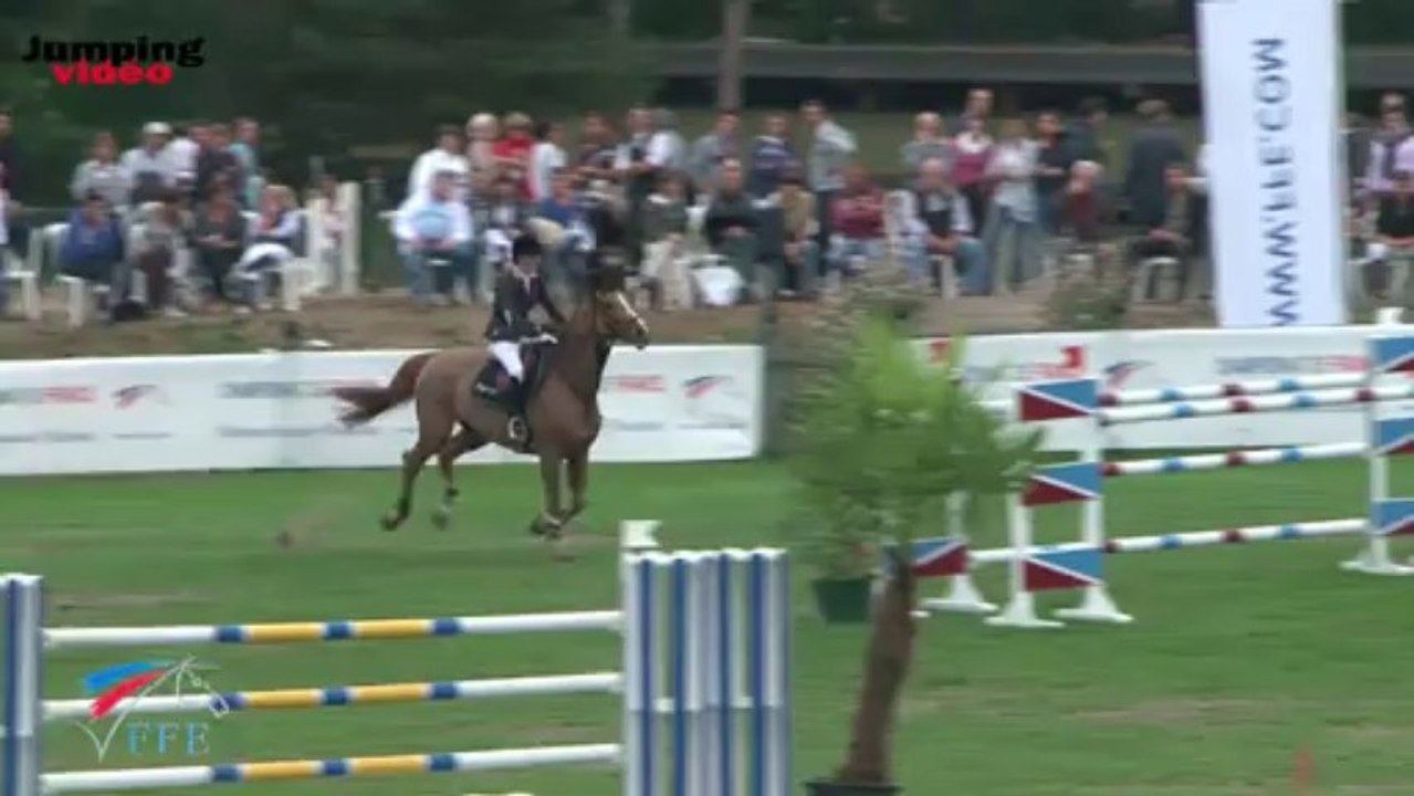 CSO - Master Pro 2013 - Parcours de Marie Demonte