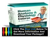 The Human Anatomy Course   Human Anatomy Physiology Course Dr James Ross