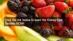 Diabetic kidney disease diet options- kidney diet secrets diabetic kidney disease diet can help you