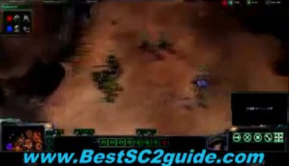 The Shokz Guide For Starcraft 2 Mastery