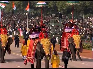 Students siting on top of elephants participate on Republic Day