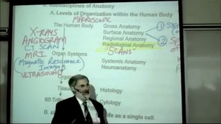 INTRO TO HUMAN ANATOMY by PROFESSOR FINK