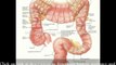 Download Latest Atlas Human Anatomy Free Download Ebook - Medical Studies | Medical University