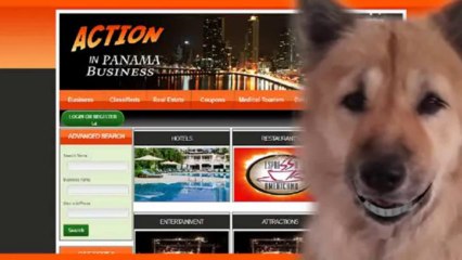 yelp panama  en panama yelp panama