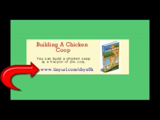 Building A Chicken Coop  How To Build a Chicken Coop