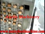 Chicken Egg Peeling  machine
