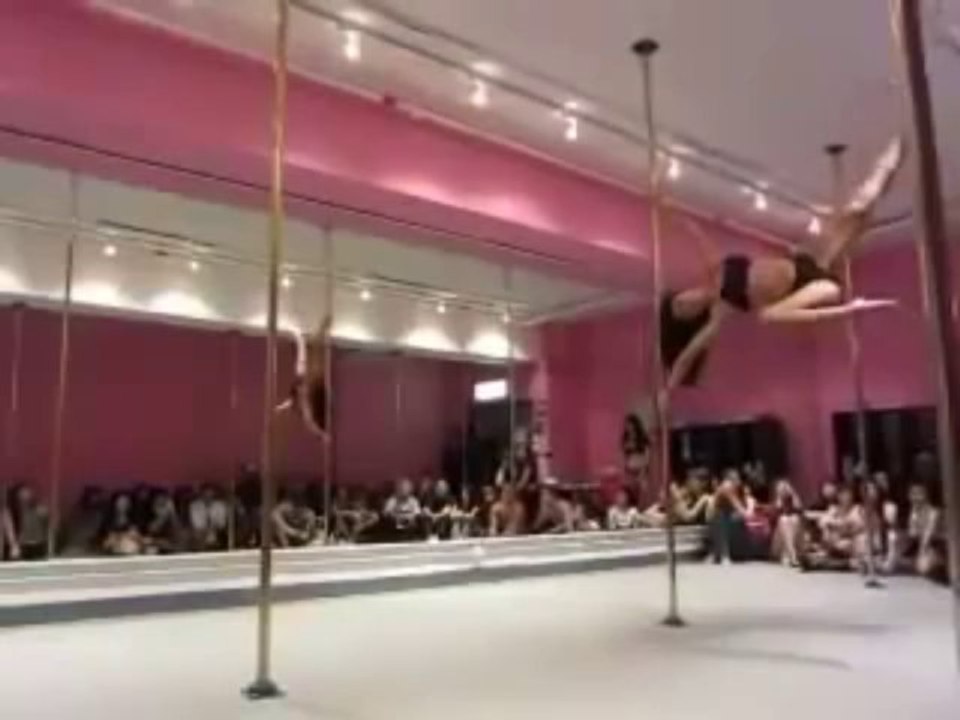 Dirdy Birdy spinning pole