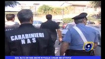 Sud, blitz dei Nas anche in Puglia: chiuse sei attività