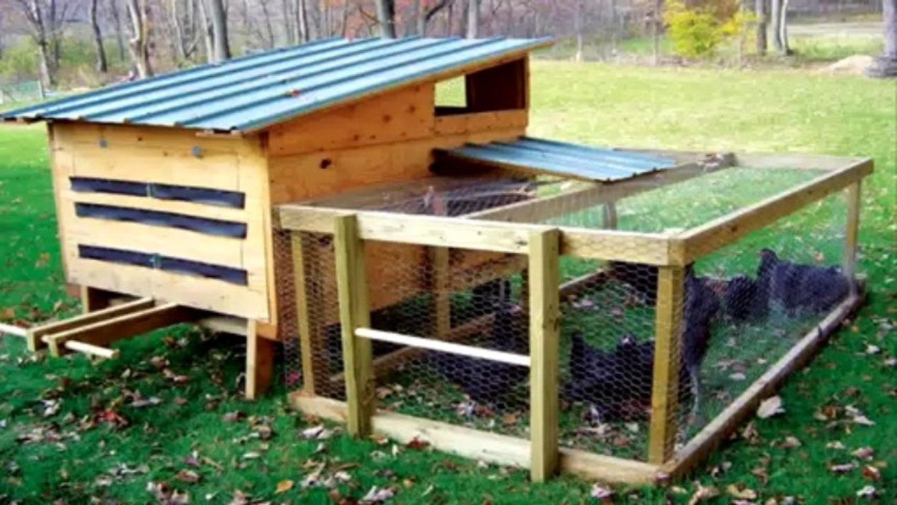 building a chicken coop