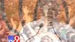 Tv9 Gujarat - 'How dare Nawaz Sharif insult our PM' says Narendra Modi in Delhi