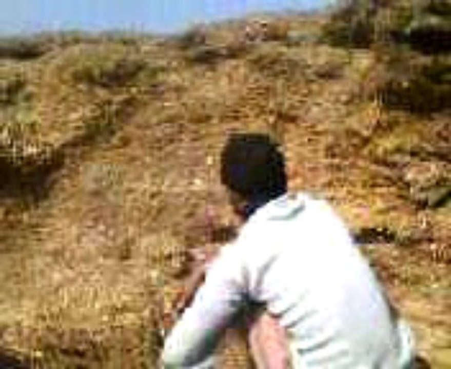 MOV0050A