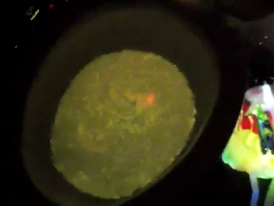 Vider des battons fluorescents dans les toilettes