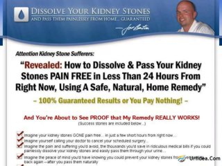Kidney Stone Remedy Review + Bonus