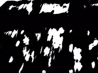 Zero Project...Disabled Emotions  Suite Part I