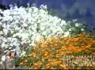 Dafle Walay Dafli Baja