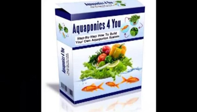 Aquaponics 4 You Review - Step by step How to Build Your Own Aquaponics System