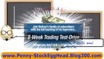 Do Not Buy Penny Stock Egghead Before You Read This Review - pennystock egghead