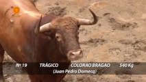 Sorteo de toros para la tercera corrida de San Miguel en la Maestranza de Sevilla