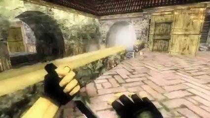 I am a professional policeman [Counter Strike 1.6]