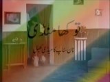 THOKA MANDI [PAKISTANI PUNJABI STAGE DRAMA] PART 5_11