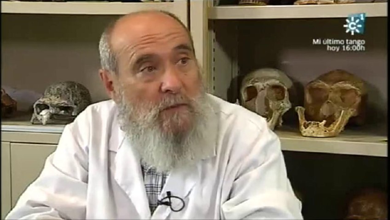 Antropologia forense y evolucion: Miguel Botella